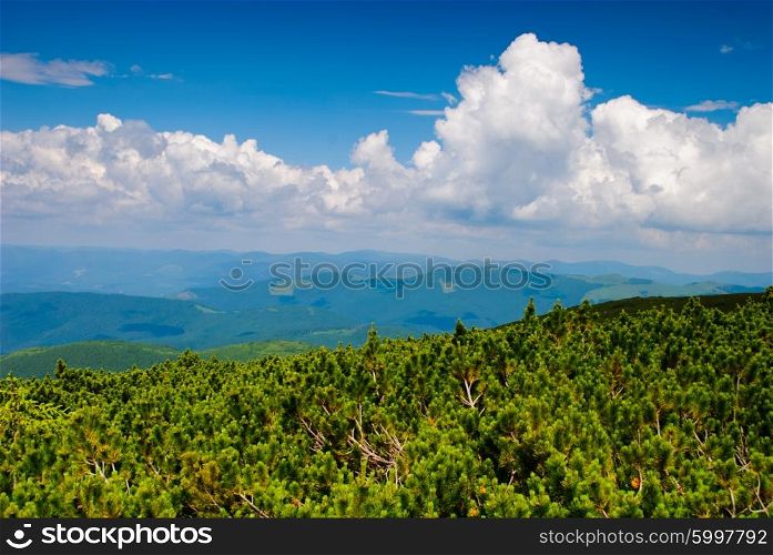 Beautiful blue sky and glade high up in Carpathian mountains. Beautiful mountain landscape