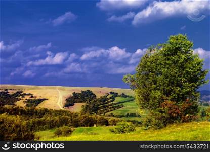 Beautiful blue sky and green grass with forest and field in mountains