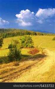 Beautiful blue sky and green grass with forest and road in mountains