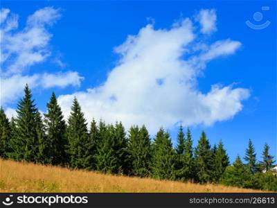 Beautiful blue sky with white cumulus clouds over summer mountain hill with fir trees.