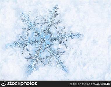 Beautiful blue snowflakes isolated on snow, winter holiday background