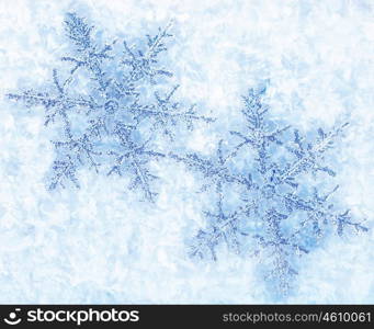 Beautiful blue snowflakes isolated on snow, winter holiday background