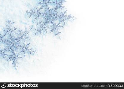 Beautiful blue snowflakes isolated, winter holiday background with copy space