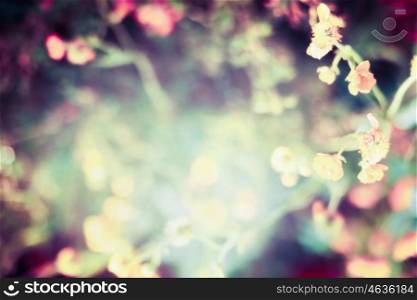 beautiful blurred nature background with flowers, leaves , sunshine and bokeh