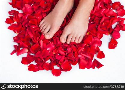 Beautiful body and legs of woman against petals of red roses with flower