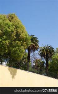 beautiful Boto Machado garden with palm trees in Sao Vicente de Fora district in Lisbon, Portugal