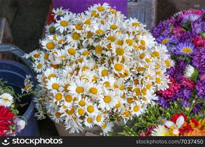 Beautiful bouquet of daisy flowers on street flower vendor