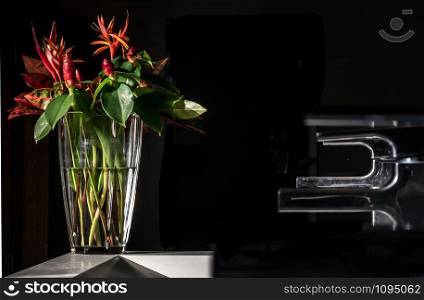Beautiful bouquet of flowers in a glass vase on a decorative white stone in a dark room under bright sun light, Sun light reflects in glass vase creating glow. Concept : element of how design, grow new. Space for text.