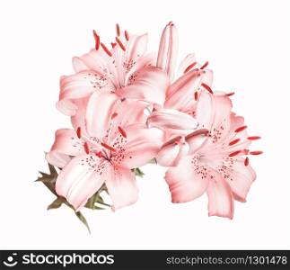 Beautiful bouquet of large flowers of bright orange lilies, isolated on a white background