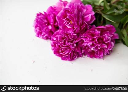 Beautiful bouquet of pink peonies. The concept of the work of a florist in a flower shop. Place for an inscription. Beautiful bouquet of pink peonies. The concept of the work of a florist in a flower shop. Place for an inscription.