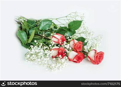 Beautiful bouquet of red rose flowers isolated on light gray background