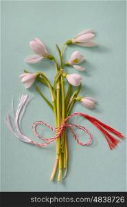 Beautiful bouquet of snowdrops isolated on paper