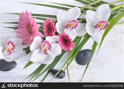 beautiful bouquet of white orchids and pink daisies in leaf and pebbles on white table background . beautiful bouquet of white orchid and pink daisies in leaf and pebbles on white background