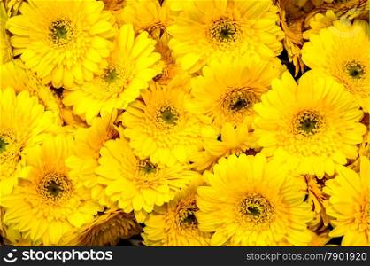 Beautiful bouquet of yellow flowers