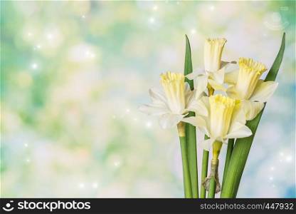 Beautiful bouquet of yellow Narcissus flowers on a green natural background with highlights of light and space for text. Layout for postcard or invitation