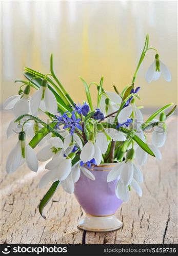 Beautiful bouquet snowdrops in a vase on woody background