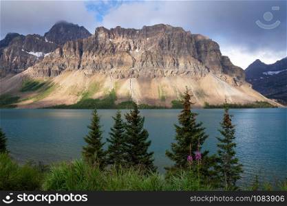 Beautiful Bow Lake on a cloudy day, Icefield Parkway, Banff National Park, Alberta, Canada