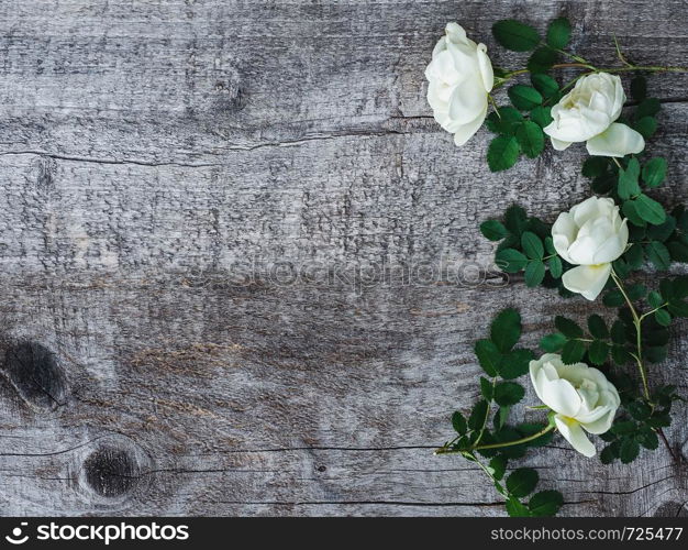 Beautiful branch of rosehip with blooming flowers, lying on unpainted, frayed boards. Place for your inscription. Top view, close-up. Congratulations to loved ones, relatives, friends and colleagues. Beautiful rose hip branch with white flowers