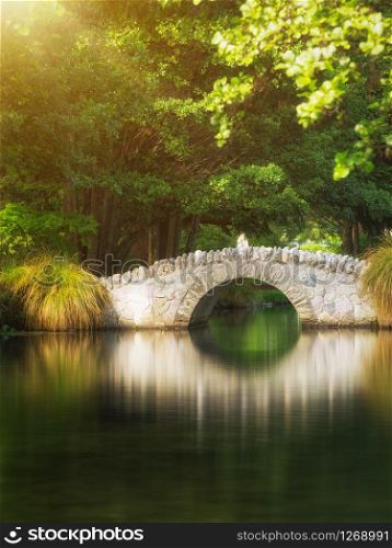 Beautiful bridge in a botanical garden under warm sunlight in summer reflecting over pond water. Shot in a garden in Queenstown, New Zealand.