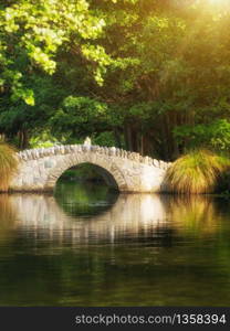 Beautiful bridge in a botanical garden under warm sunlight in summer reflecting over pond water. Shot in a garden in Queenstown, New Zealand.