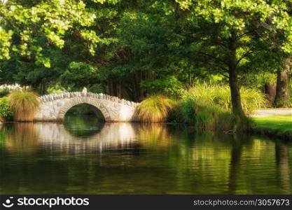 Beautiful bridge in a botanical garden under warm sunlight in summer reflecting over pond water. Shot in a garden in Queenstown, New Zealand.