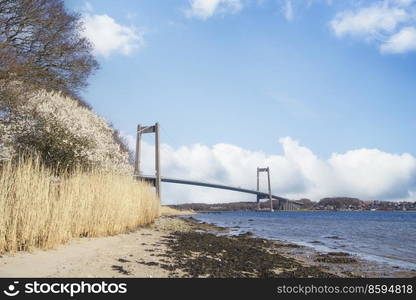 Beautiful bridge over a water passage with a sand beach and rushes along the water