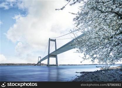 Beautiful bridge over calm waters in the springtime with a tree blooming with white flowers