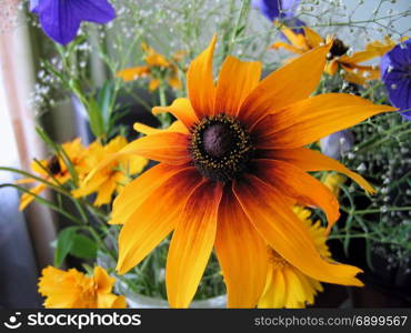 Beautiful bright bouquet with close-up of rudbeckia flower