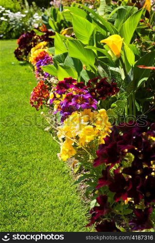 Beautiful bright colorful flower garden with various flowers