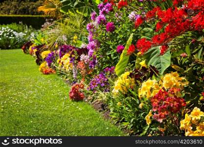Beautiful bright colorful flower garden with various flowers