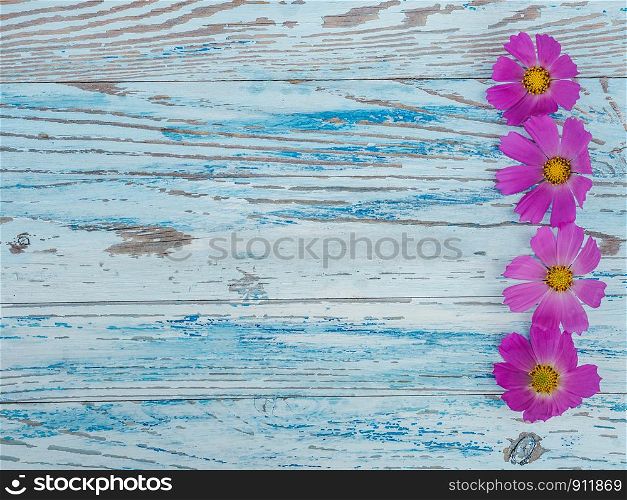 Beautiful bright flowers lying on blue boards. Place for your inscription. Top view, close-up. Congratulations to loved ones, family, relatives, friends and colleagues. Beautiful bright flowers lying on blue boards
