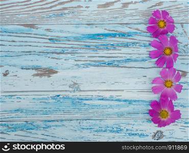 Beautiful bright flowers lying on blue boards. Place for your inscription. Top view, close-up. Congratulations to loved ones, family, relatives, friends and colleagues. Beautiful bright flowers lying on blue boards
