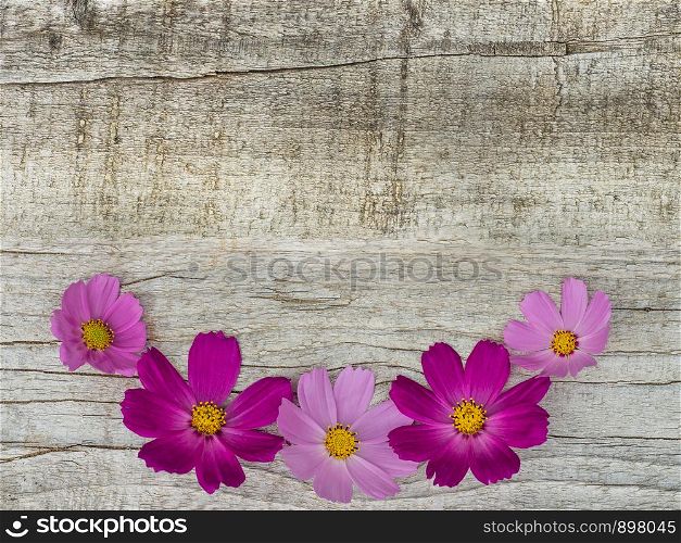 Beautiful bright flowers lying on unpainted boards. Place for your inscription. Top view, close-up. Congratulations to loved ones, family, relatives, friends and colleagues. Beautiful bright flowers lying on unpainted boards