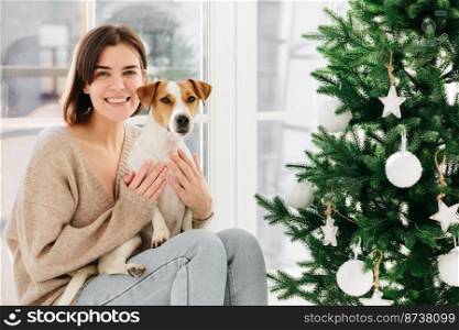 Beautiful brunette lady smiles happily, spends free time with favourite pet, poses against big window in modern apartment, decorated Christmas tree, enjoy cozy domestic atmosphere. Time to celebrate