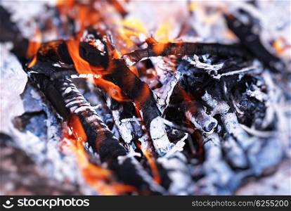 Beautiful burning bonfire in the camp, preparing charcoal for barbecue, natural fuel, abstract fire natural background