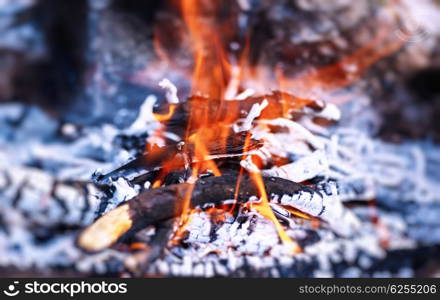 Beautiful burning bonfire in the camp, preparing charcoal for barbecue, natural fuel, abstract natural background