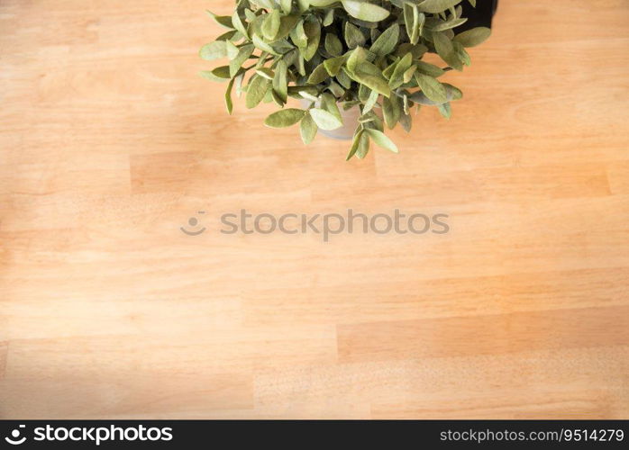 Beautiful business working woman using Ipad while working with laptop and reading report , graphs , charts, document at work. Business woman working at her desk.