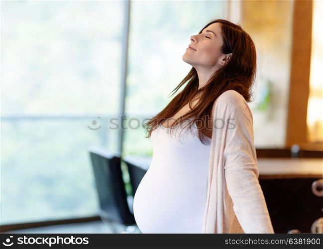 Beautiful calm pregnant woman with closed eyes standing at home in the morning and meditating, doing yoga exercise, happy healthy pregnancy