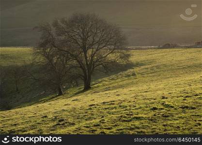 Beautiful calm sunrise landscape image over English countryside landscape with lovely light hitting the hills