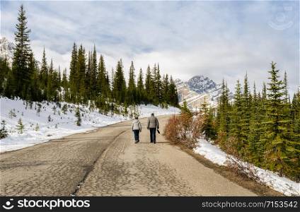 Beautiful Canadian Rockies mountain at Banff National Park in Alberta, Canada. Trail to Peyto lake.
