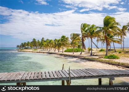 Beautiful Carribean like island with coconut palms and sea sun. Beautiful tropical island with coconut palms and sea