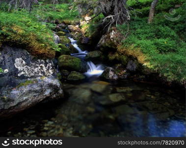 Beautiful cascade stream in forest. Clear water and green grass
