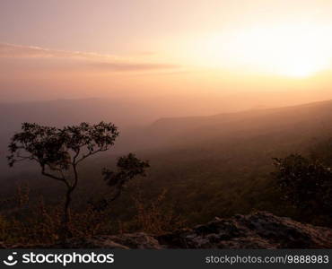 Beautiful charming dramatic sunset gradient shade mountain landscape Pha Mark Duk in Phu Kradueng National park. Loei, Thailand. Cold tone image