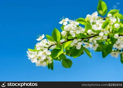 Beautiful cherry blossom in spring created with generative AI technology