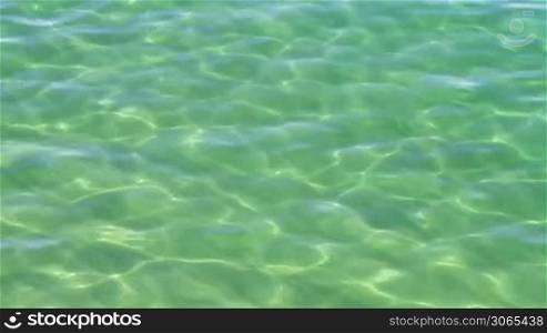 Beautiful clear green sea