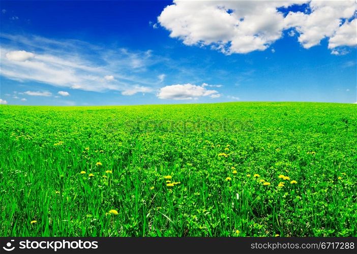 beautiful clouds and a green field