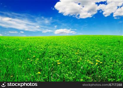 beautiful clouds and a green field