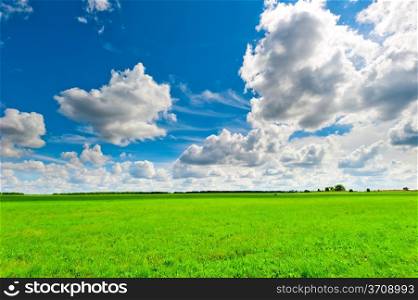 beautiful clouds over the green field on a sunny day