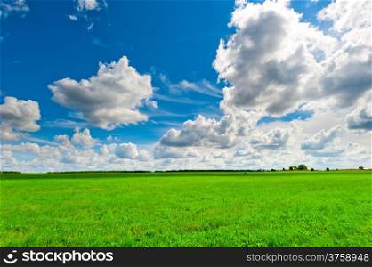 beautiful clouds over the lush green grass
