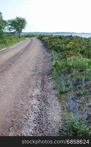 Beautiful coastal country road at the swedish island Oland